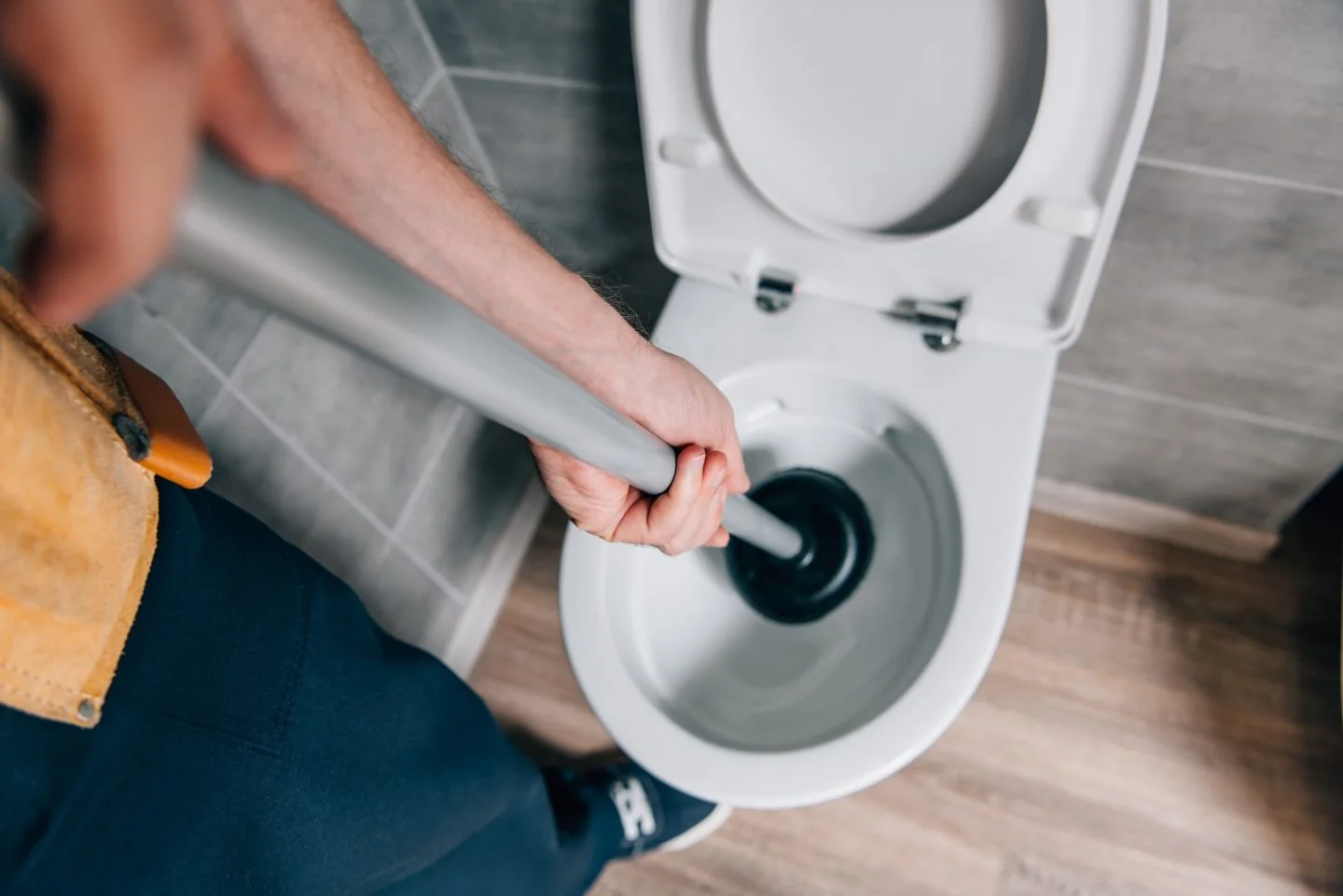 Toilet Projects 